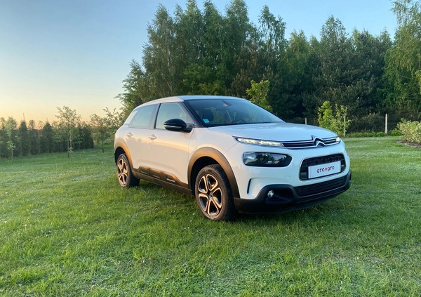 Citroen C4 Cactus cena 39900 przebieg: 230000, rok produkcji 2019 z Siedlce małe 121